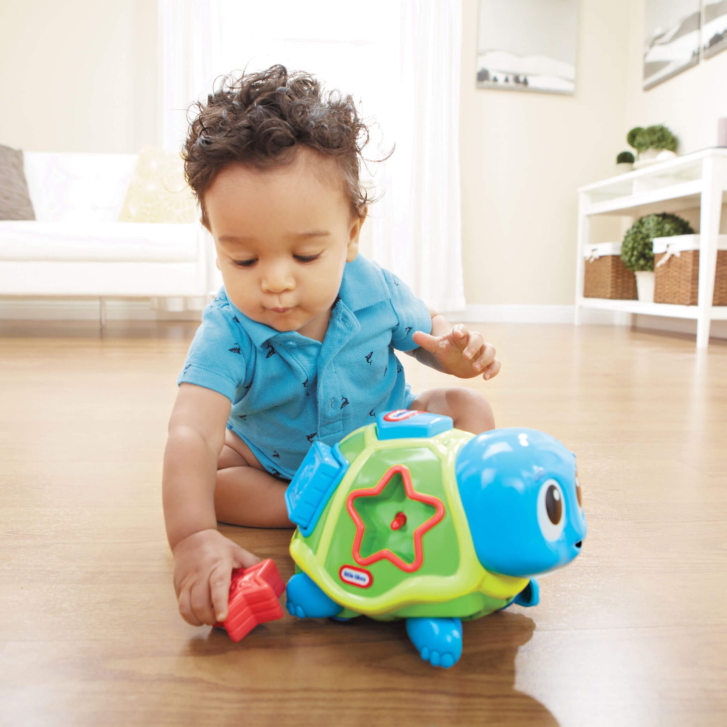 Crawl 'n Pop! Turtle - Shape Sorter & Crawling Toy | Little Tikes | Little Tikes